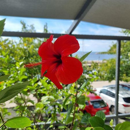 Apartman Ruza Подгора Екстер'єр фото